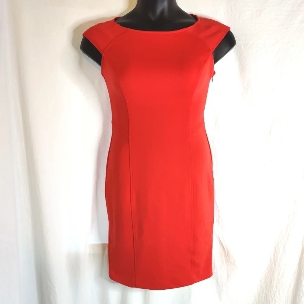 Maggy London Fitted Modern Dress EUC ❤️